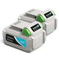20V 4.0Ah Rechargeable Lithium Battery A96749