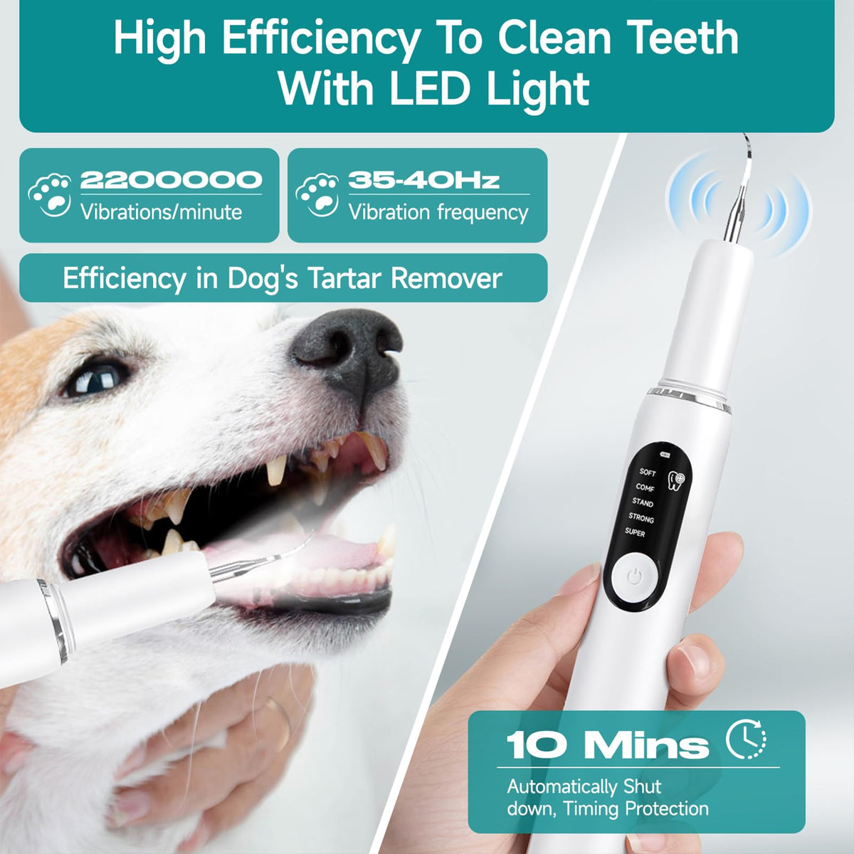 White Dog Teeth Cleaning Kit with LED Light H102