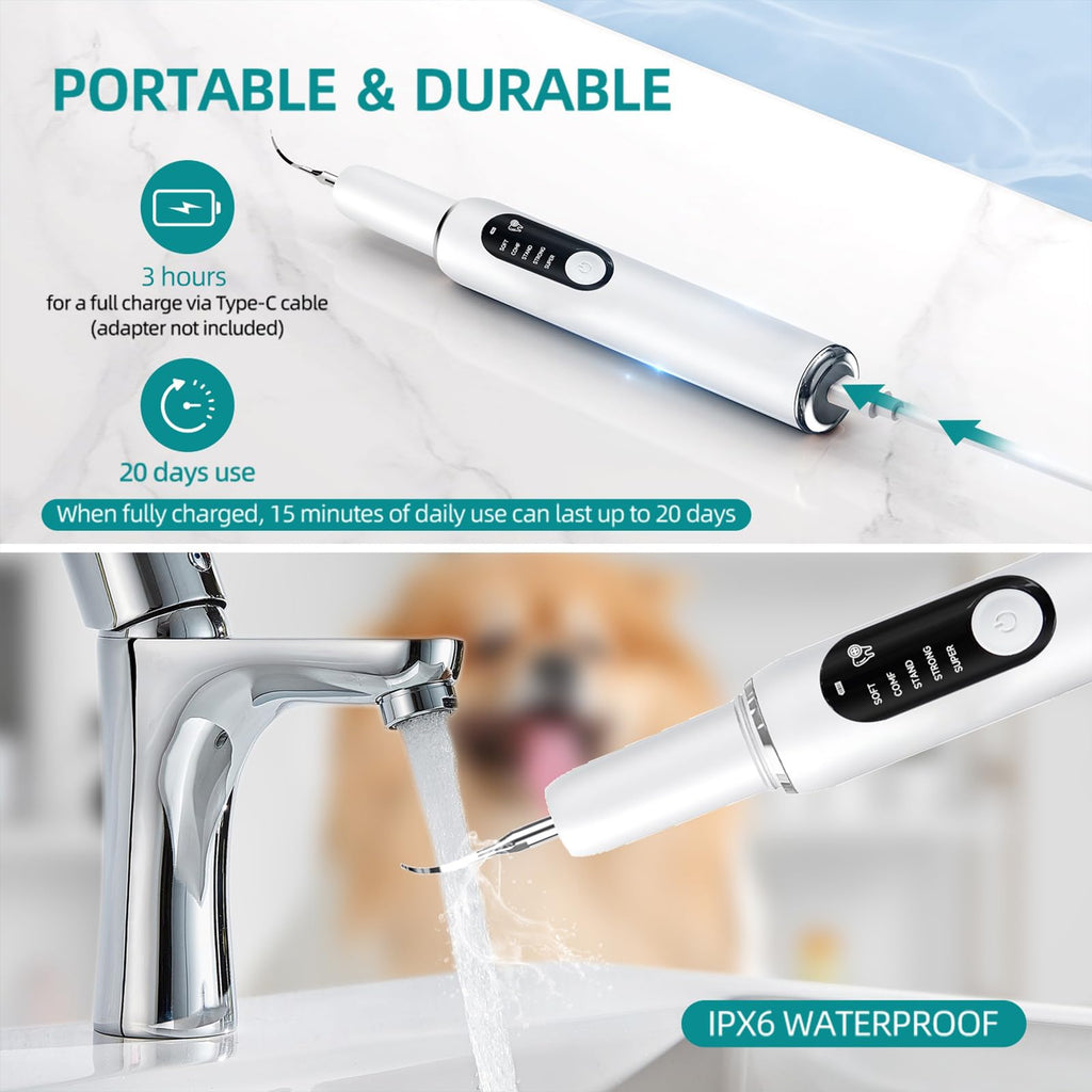 White Dog Teeth Cleaning Kit with LED Light H102