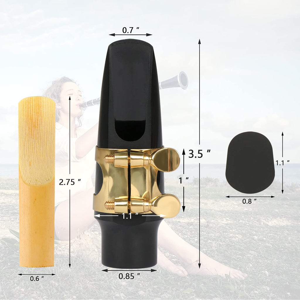29 Pcs Alto Saxophone Mouthpiece Kit Q256