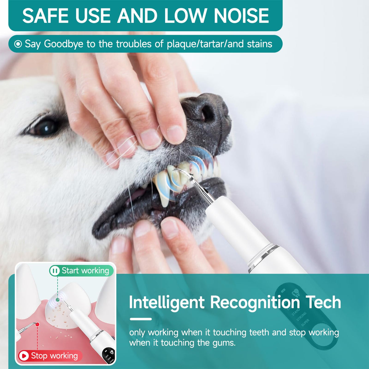 White Dog Teeth Cleaning Kit with LED Light H102