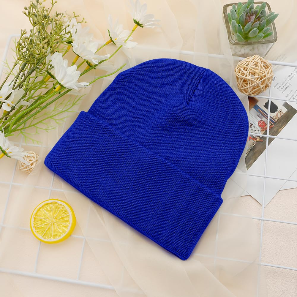 Unisex Winter Beanie E428