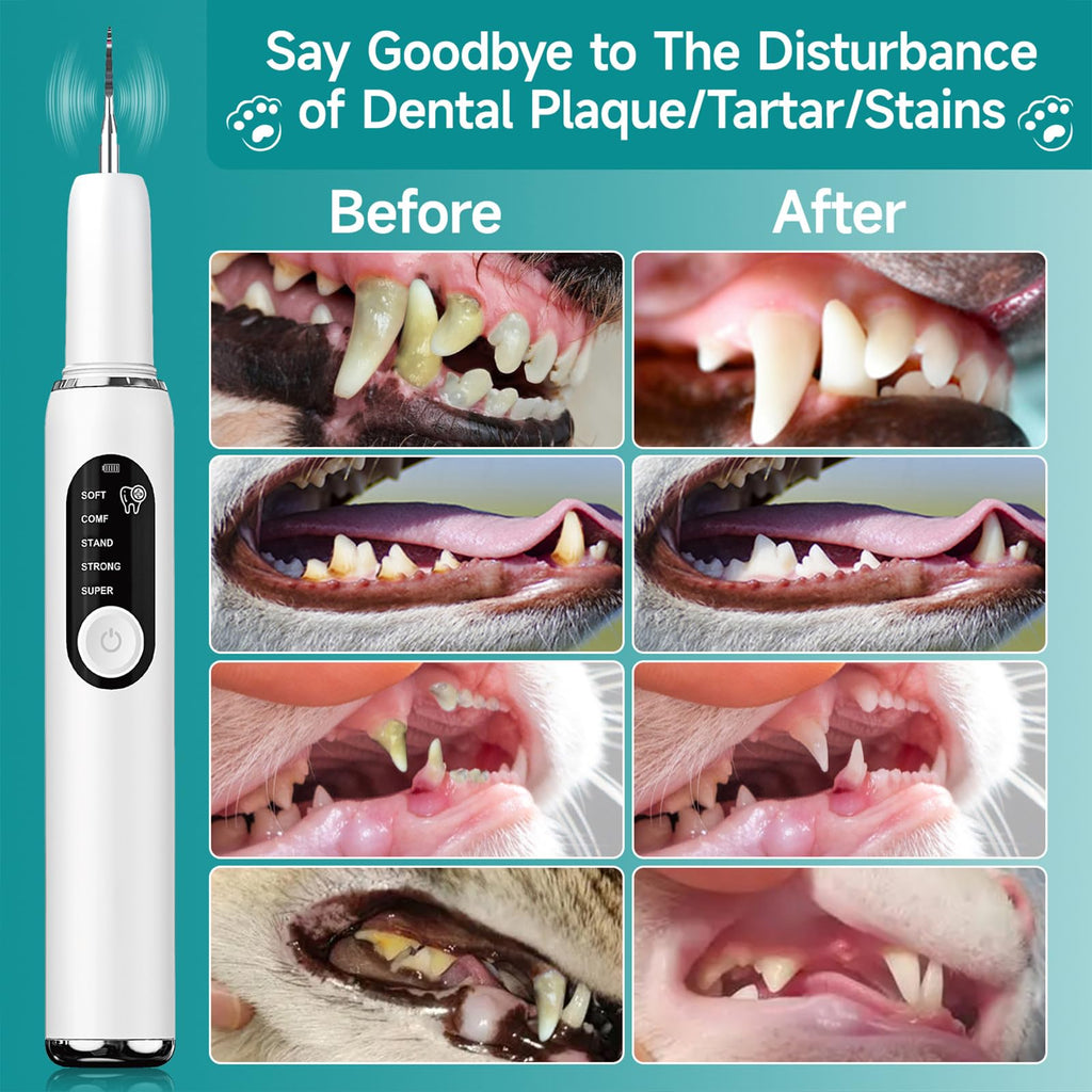 White Dog Teeth Cleaning Kit with LED Light H102
