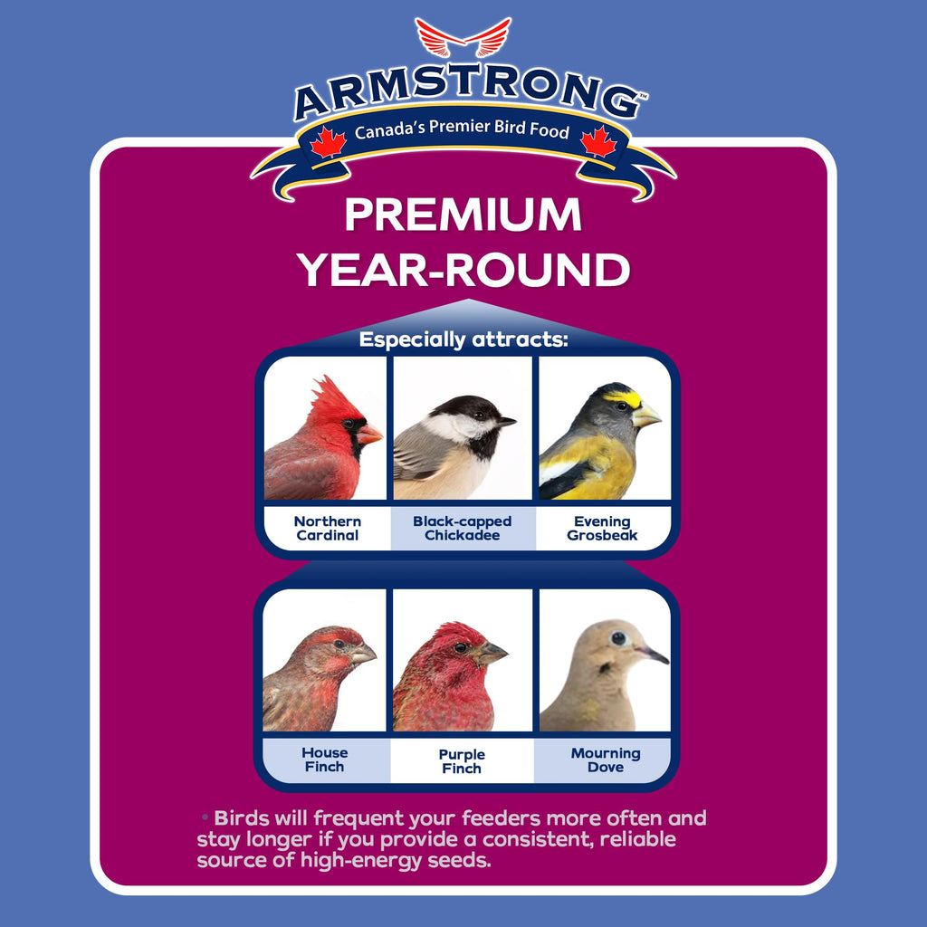Wild Bird Food 20lb B62199
