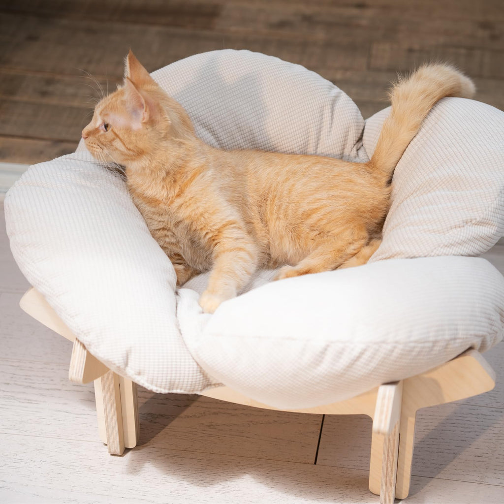 Elevated Cat Bed B304