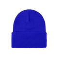 Unisex Winter Beanie E428