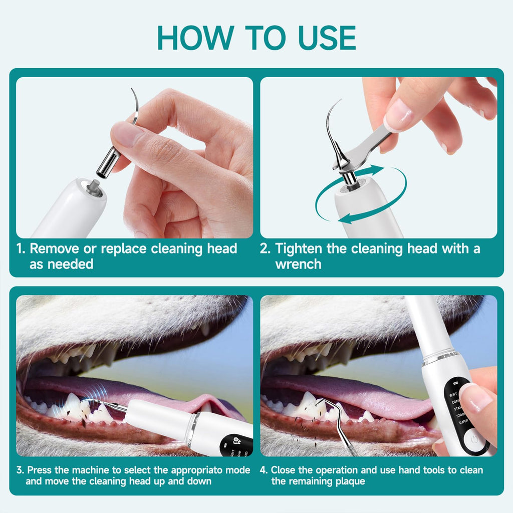 White Dog Teeth Cleaning Kit with LED Light H102