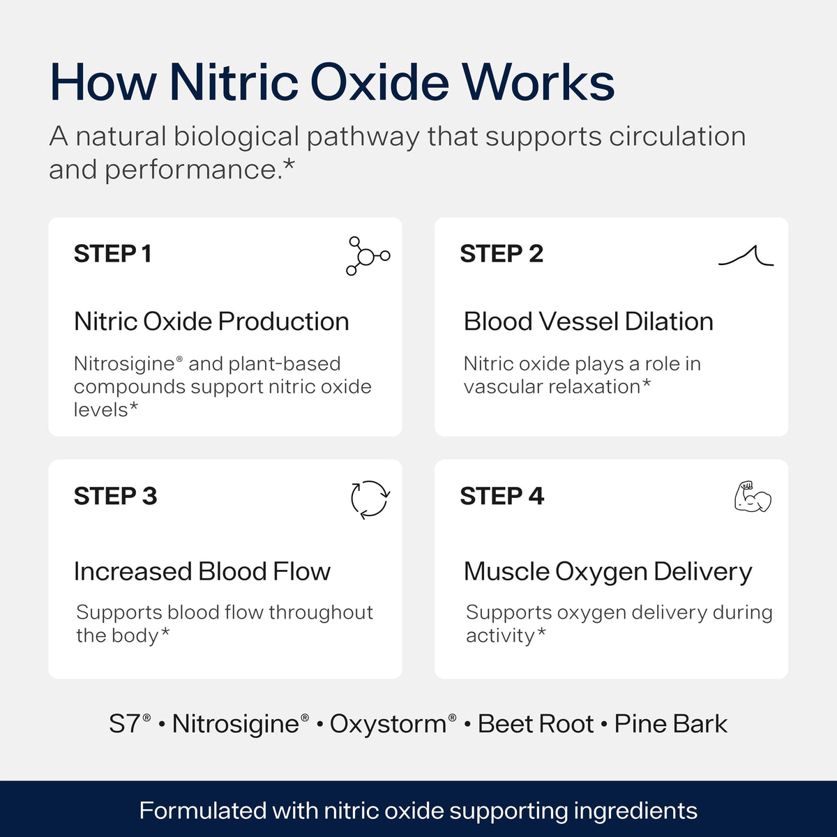 Nitric Oxide Supplement W173299