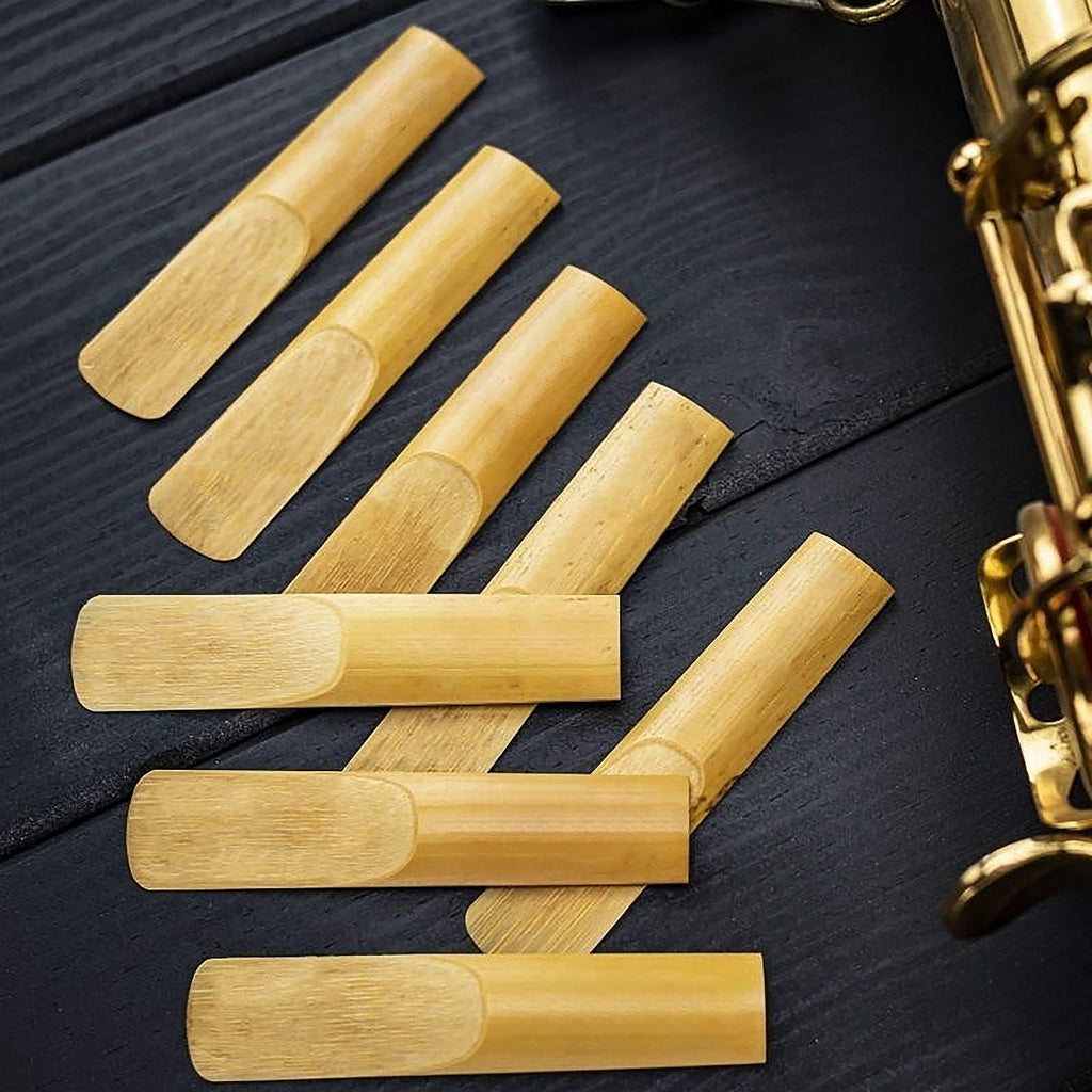 29 Pcs Alto Saxophone Mouthpiece Kit Q256