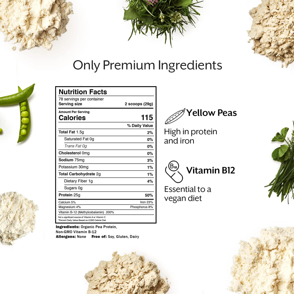 Vegan Protein Powder 5 lb R3984