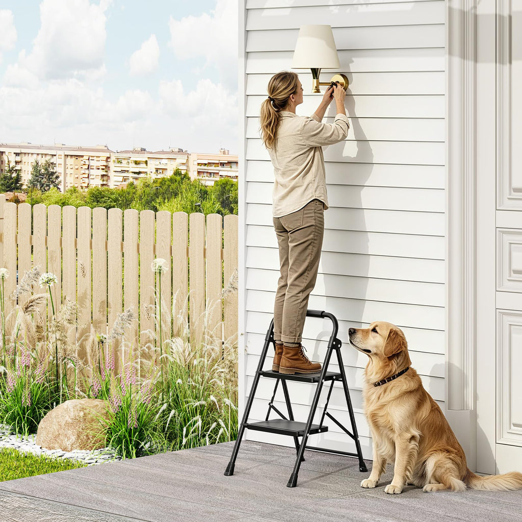 2 Step Folding Step Stool with Handrail Black S1013