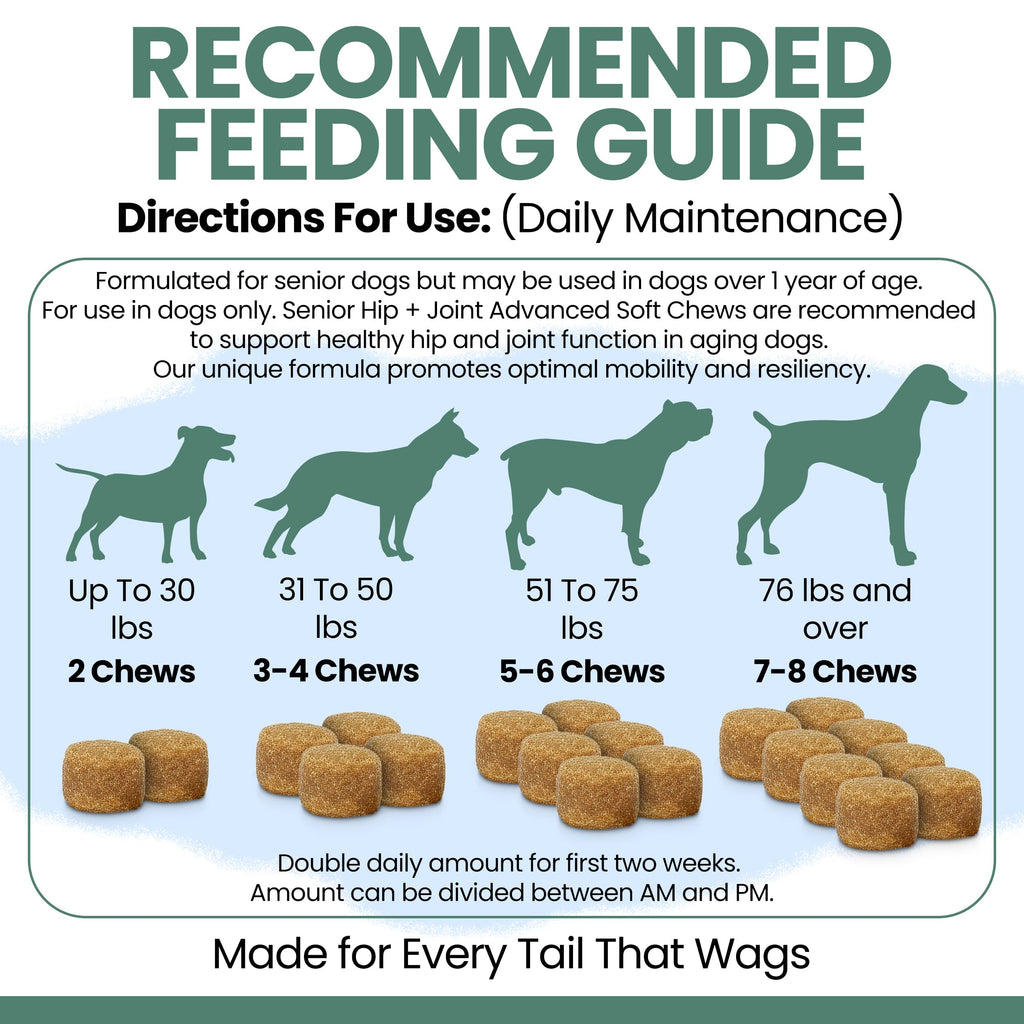 Glucosamine Chondroitin MSM Soft Chews for Dogs N918