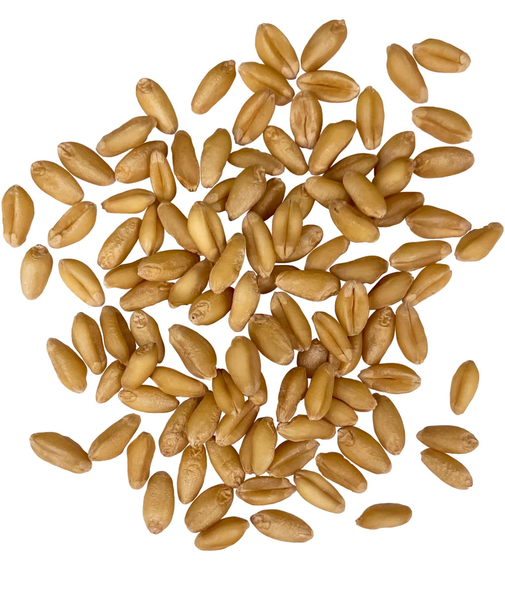 Soft White Wheat Berries 5 lbs C80435