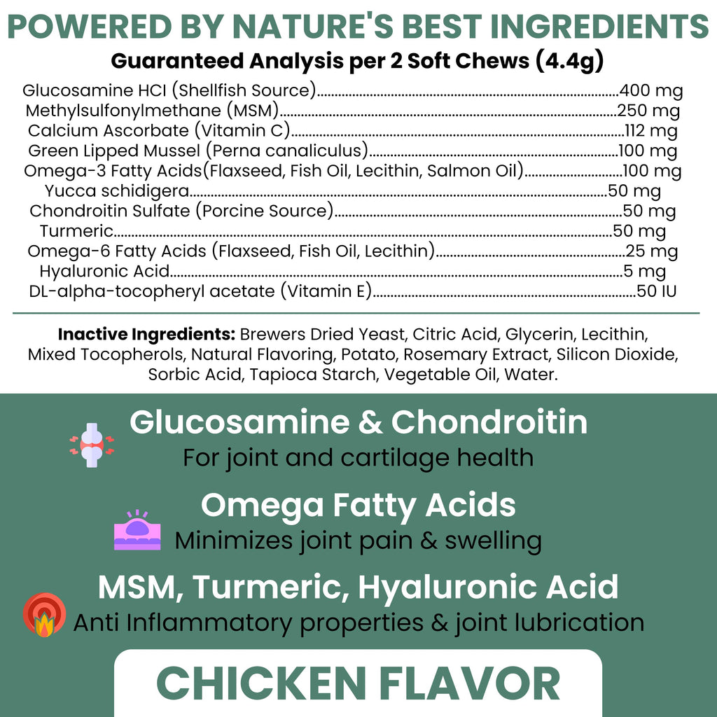 Glucosamine Chondroitin MSM Soft Chews for Dogs N918