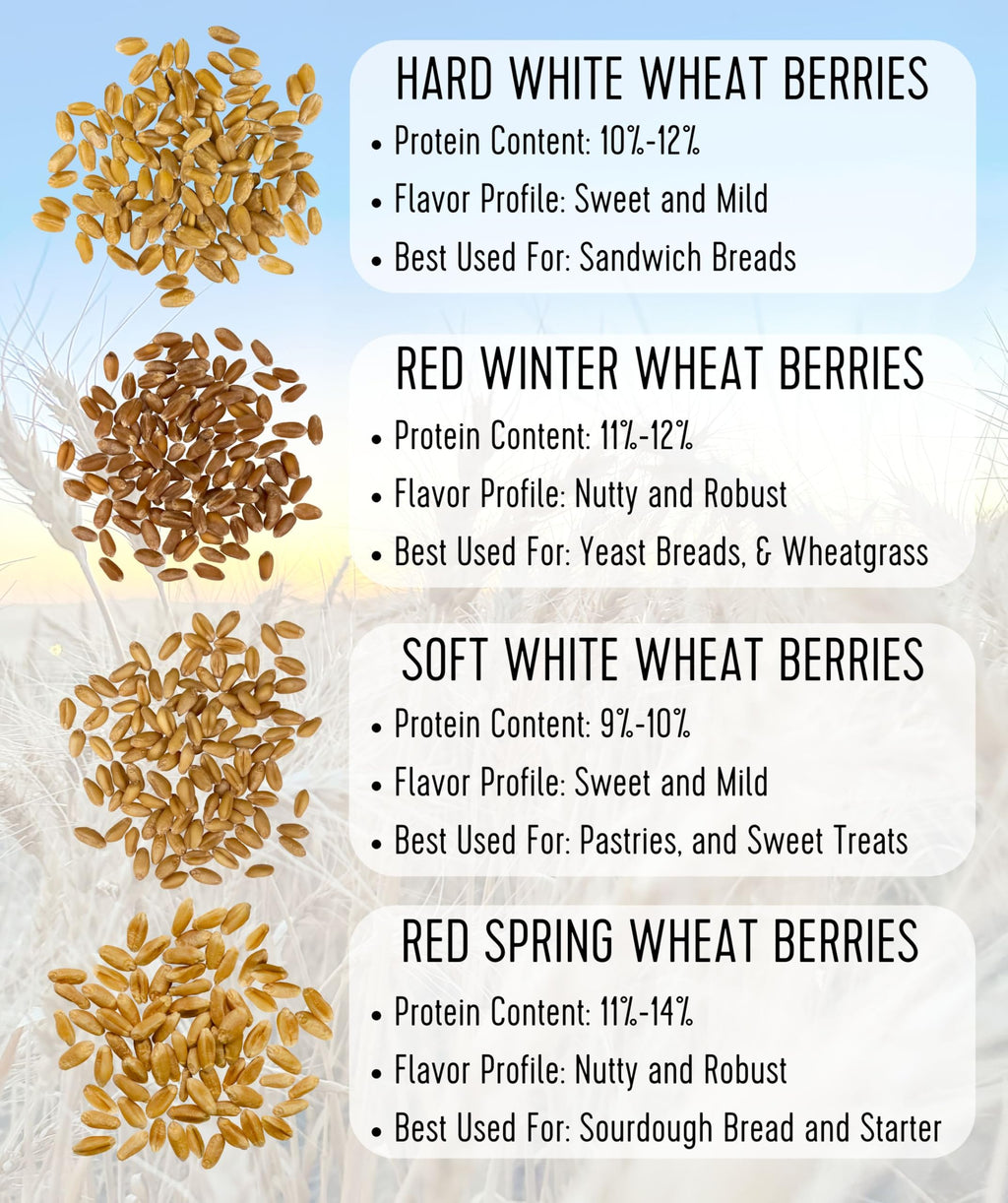 Soft White Wheat Berries 5 lbs C80435