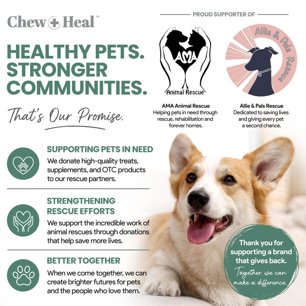 Glucosamine Chondroitin MSM Soft Chews for Dogs N918