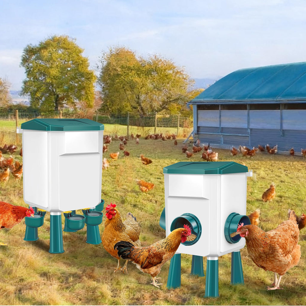 Chicken Feeder and Waterer Set 3 Gallon G7619