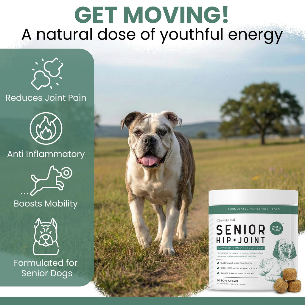 Glucosamine Chondroitin MSM Soft Chews for Dogs N918