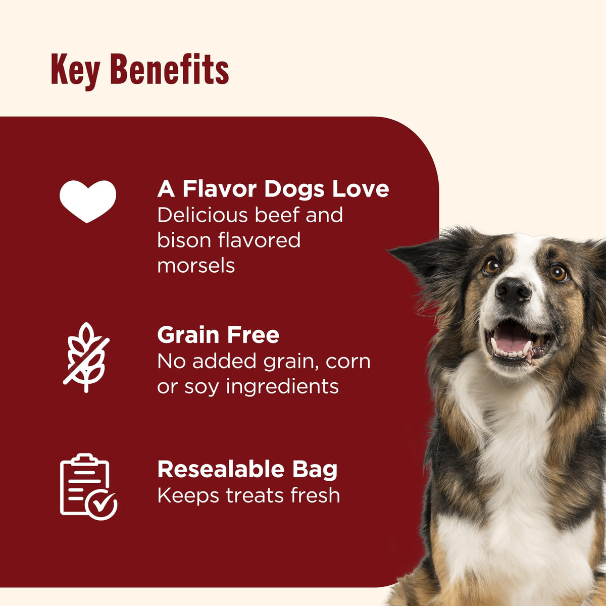 Beef Recipe Dog Treats 12 oz B664