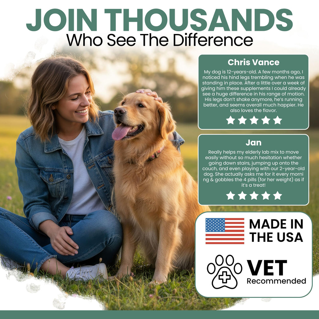 Glucosamine Chondroitin MSM Soft Chews for Dogs N918